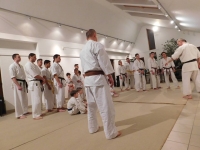 Dabasi Kyokushin Karate