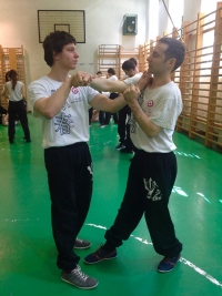 Öt Elem Wing Tsun Kung Fu Egyesület 