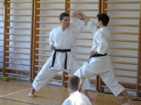 Alba Control Karate Egyesület