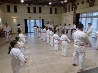 Dabasi Kyokushin Karate