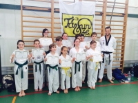 Tájfun S.E. Taekwondo