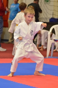 Seizan Karate-Do Sportegyesület