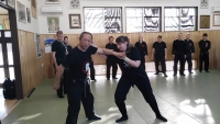 Bujinkan Seijin Dojo