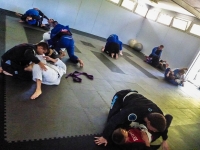 PIT Brazilian Jiu-jitsu - Zé Radiola Team