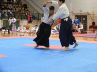 Szegedi Aikido-kultúra Egyesület