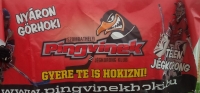 Szombathelyi Pingvinek Jégkorong Klub