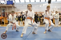 Óbudai Jutsu Kai Kan Sportegyesület