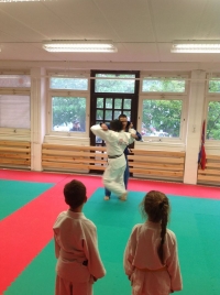 Újbudai Judo Sportegyesület