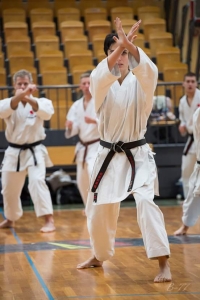 Black Belt Karate-Do SE