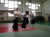 Shinpo Aikido Egyesület