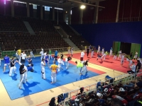 Tájfun S.E. Taekwondo