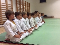 Budaörsi SC Judo Szakosztály