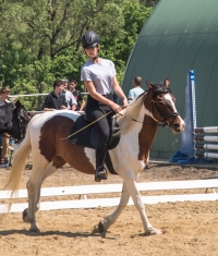 Hadak Útja Lovas Sportegyesület