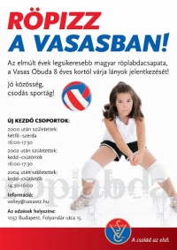 Vasas Röplabda