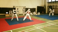 Tájfun S.E. Taekwondo