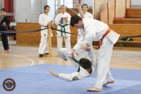 Óbudai Jutsu Kai Kan Sportegyesület