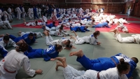 Újbudai Judo Sportegyesület