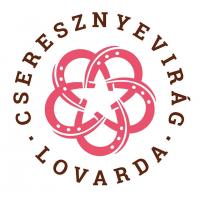 Lovaglás