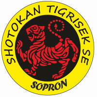 Harcművészetek
