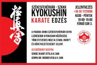 Pagoda Shibu – Felsővárosi Dojo (Kyokushin Karate)